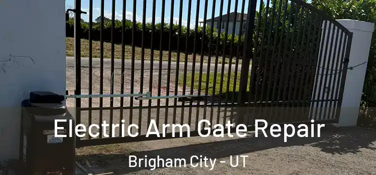  Electric Arm Gate Repair Brigham City - UT