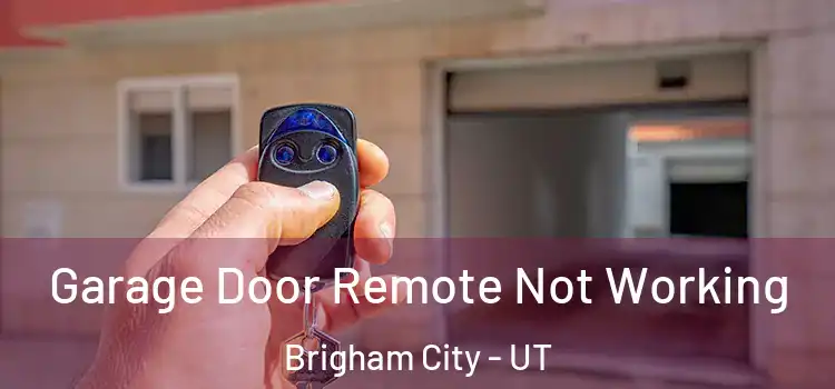  Garage Door Remote Not Working Brigham City - UT