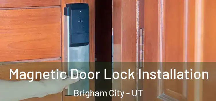  Magnetic Door Lock Installation Brigham City - UT