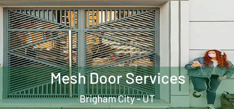  Mesh Door Services Brigham City - UT